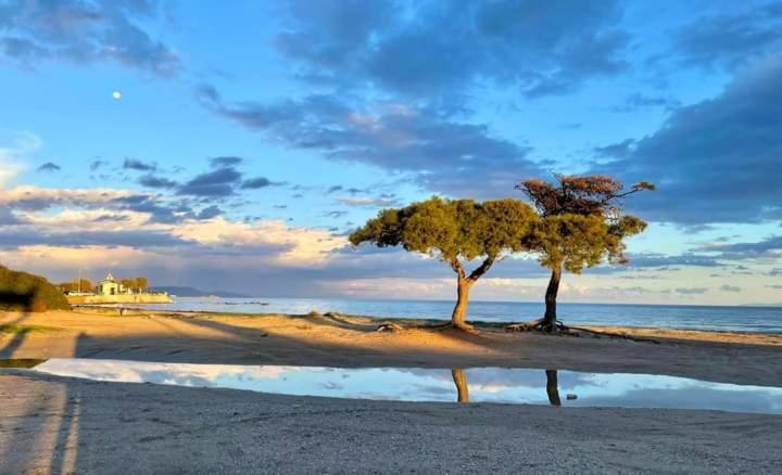 Άνετο Διαμέρισμα أرتيميدا المظهر الخارجي الصورة